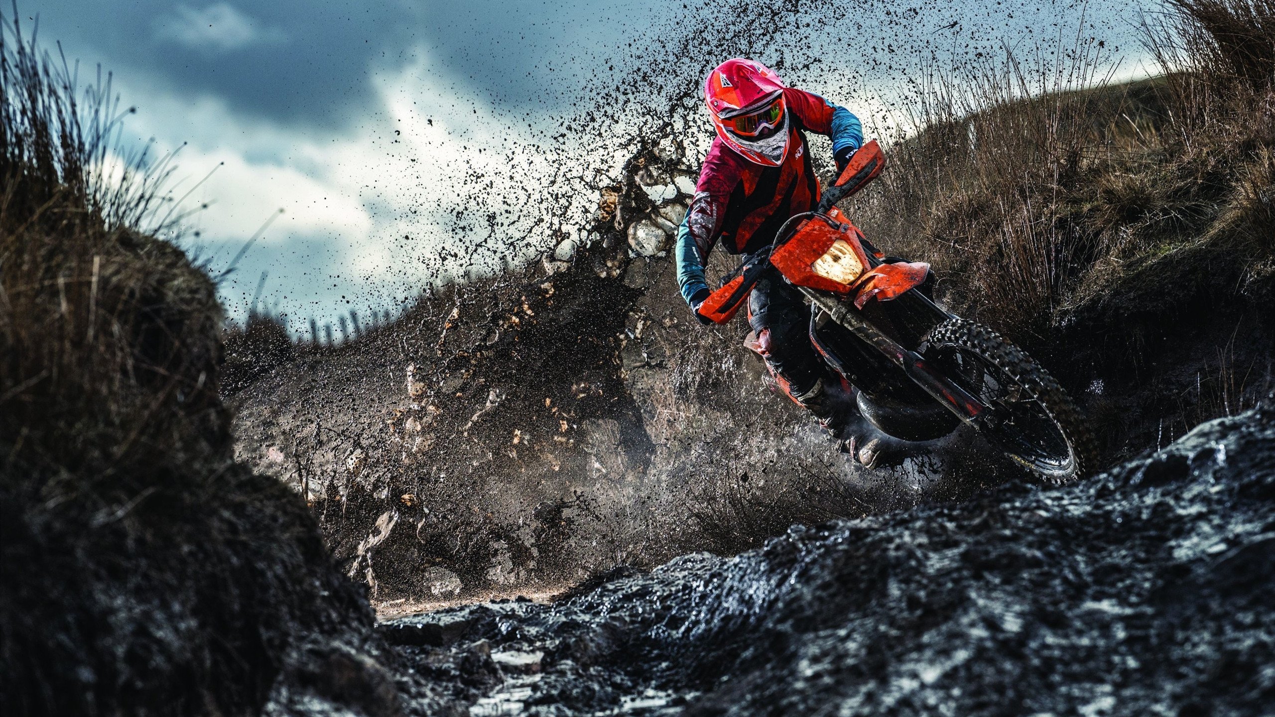 “萨尔·巴赫：南非橄榄球未来的领军人物”